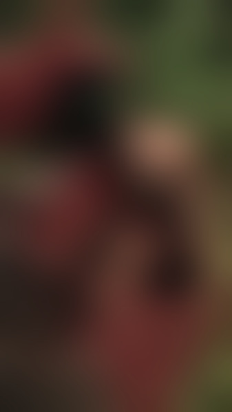 Foto von Likky Kitty