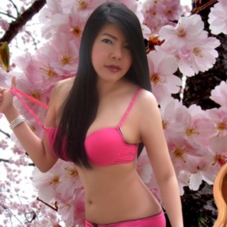 Neue  Asia Wasabi aus Japan!, Plauen