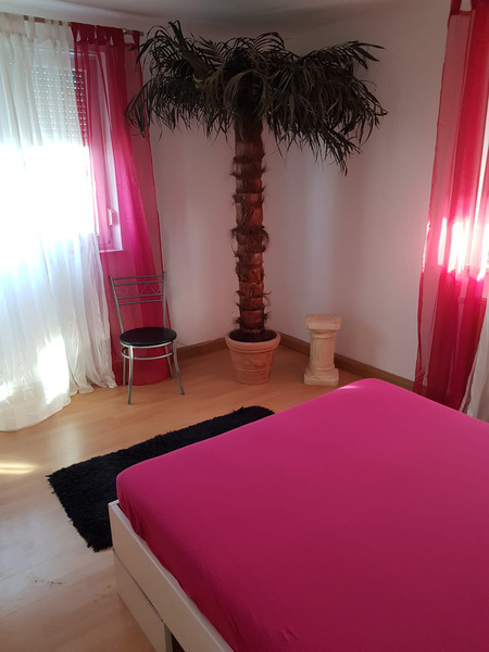 Foto von DREAM ANGELS