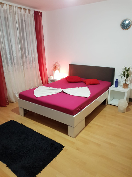 Foto von DREAM ANGELS