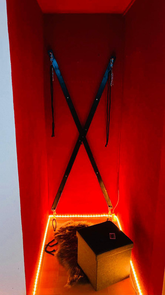 Foto von DREAM ANGELS