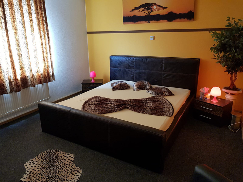 Foto von DREAM ANGELS