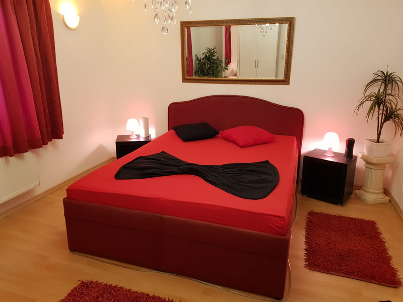 Foto von DREAM ANGELS