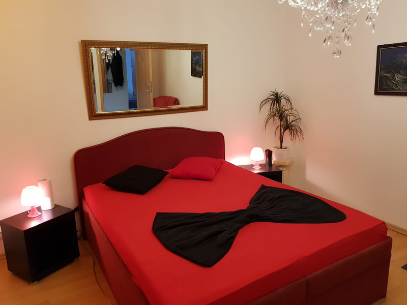 Foto von DREAM ANGELS