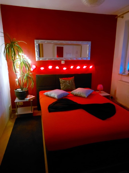 Foto von DREAM ANGELS