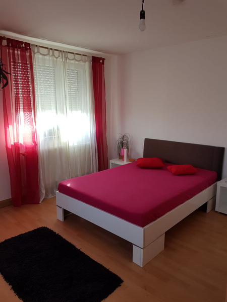 Foto von DREAM ANGELS