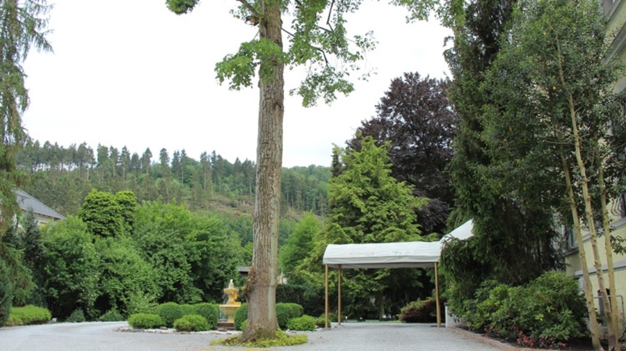 Foto von 5 Sterne Wellness und Erotik im Sauerland