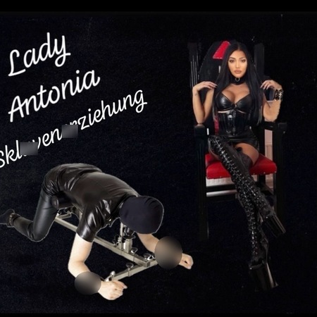 Lady Antonia, Köln