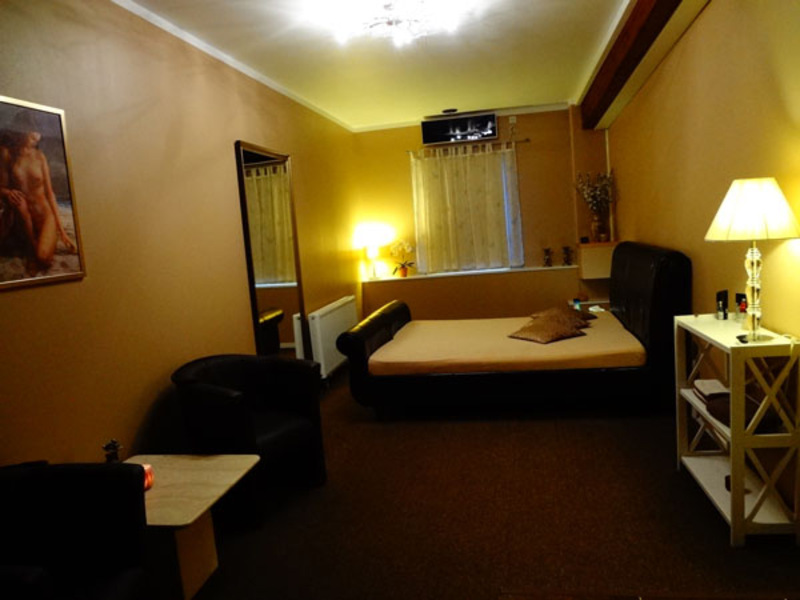 Foto von Prager Katzen