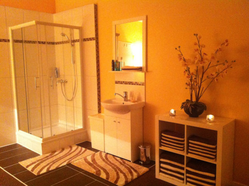 Foto von Prager Katzen