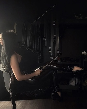 Amira auch Dominant, Mücke