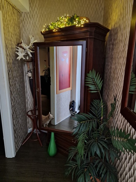 Foto von Wellness Lounge Fürth