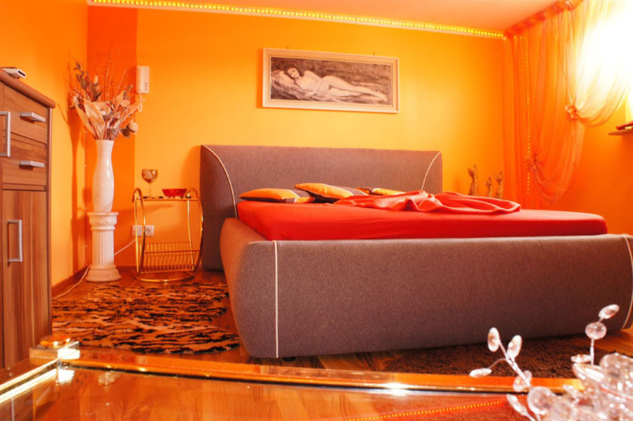 Foto von Die wilde Orchidee