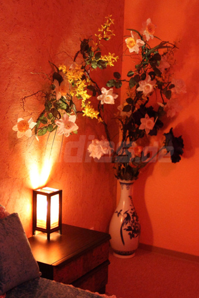 Foto von Thai Rose