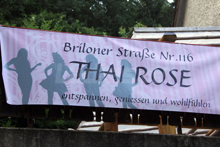 Thai Rose, Warburg - Scherfede