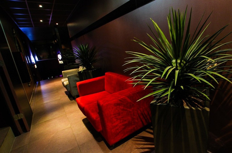 Foto von Ein Fest für alle Sinne!