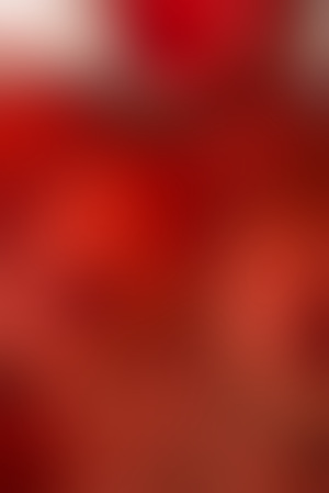 Blonde Mira Neue Nummer, Erkelenz