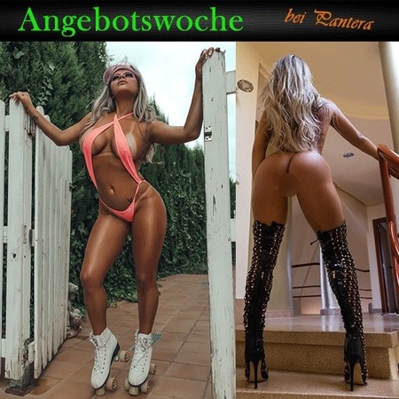 Pantera Star, Neustadt an der Weinstraße