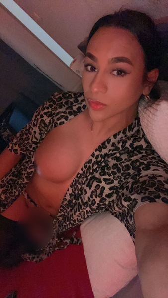 Foto von TS Pocahontas reale 24x6cm