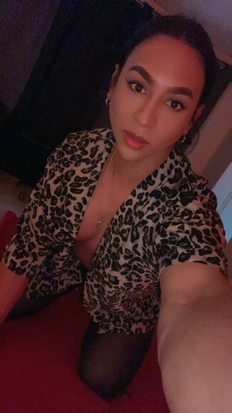 Foto von TS Pocahontas reale 24x6cm