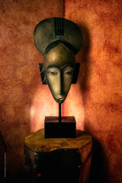 Foto von Cat Exclusiv