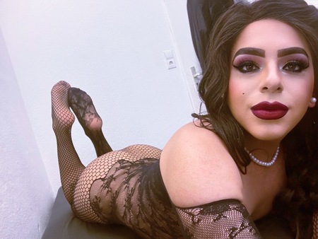 TS Shenoa Vip XL Versatil, Bielefeld