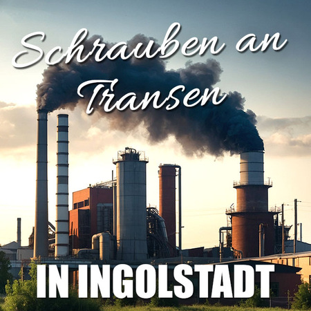 Individuelle Erotik mit einer TS in Ingolstadt 