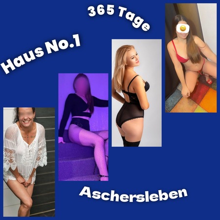 Haus No1-Kein Club-Privathaus, Aschersleben