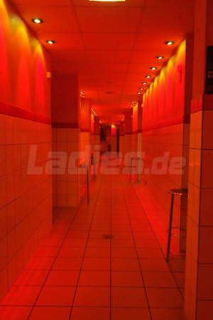 Das Bordell, Köln