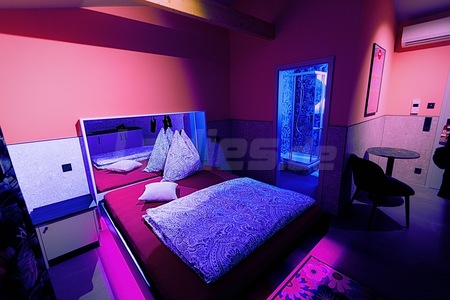 Suites - Top Damen anwesend!!, Landshut