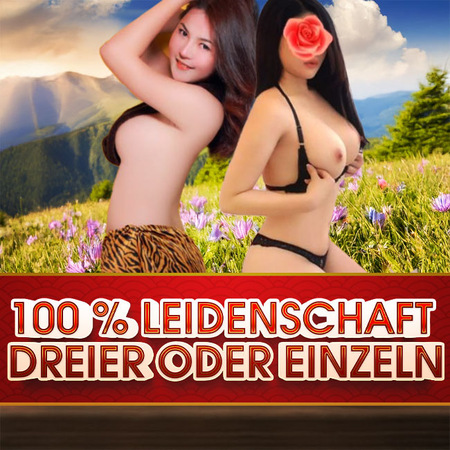 Asia Eva & Mi Mi, Gelsenkirchen