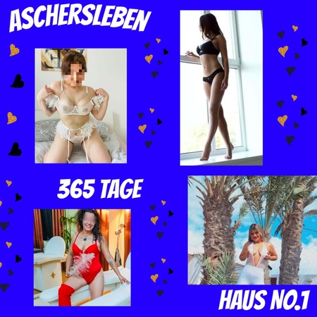 Haus No1-Kein Club-Privathaus, Aschersleben